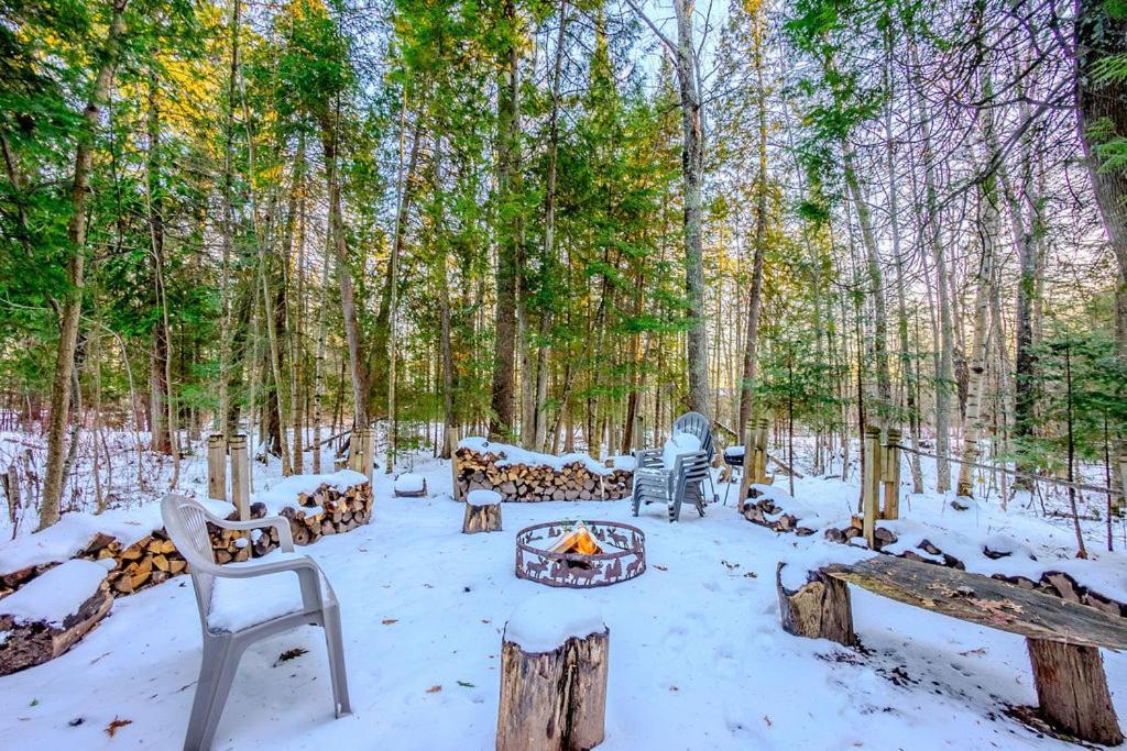 Hidden Gem, 3 Bed Cozy Condo - Dogs Welcomed Бейфилд Экстерьер фото